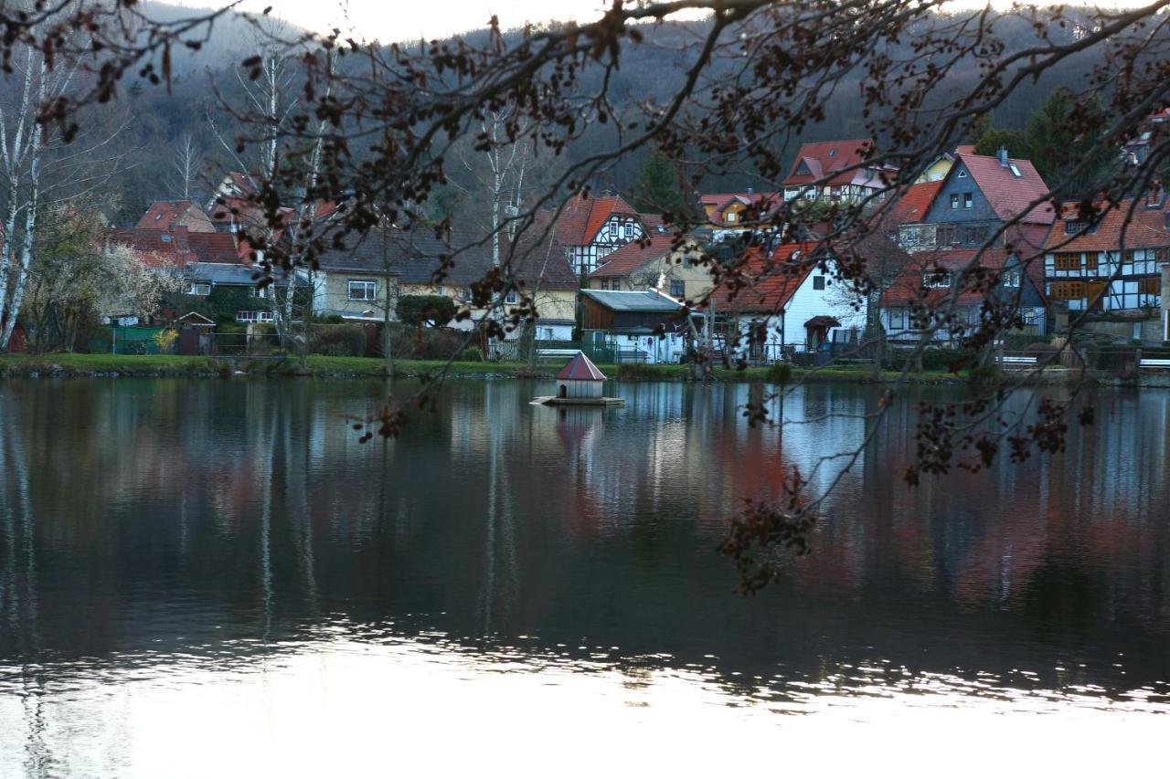 Ferienwohnung Relax Ilsenburg  Exterior foto