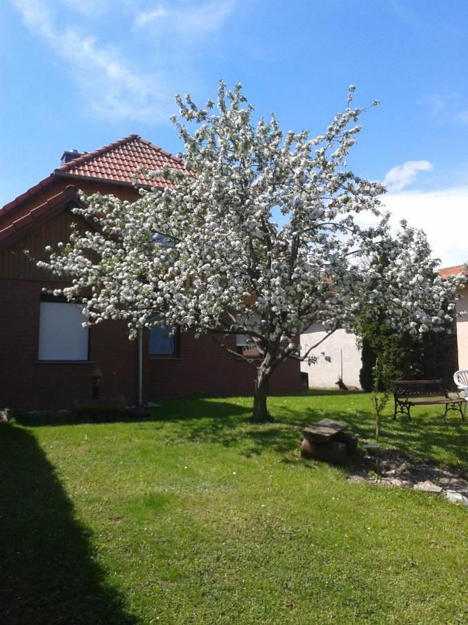 Ferienwohnung Relax Ilsenburg  Exterior foto