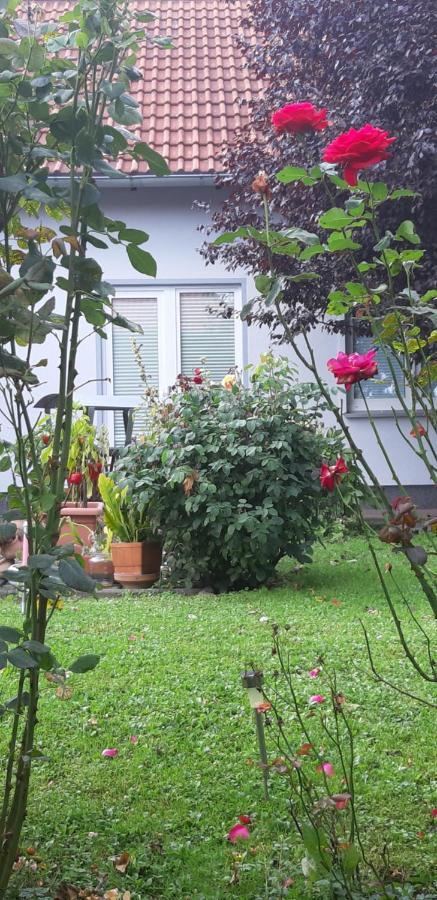 Ferienwohnung Relax Ilsenburg  Exterior foto