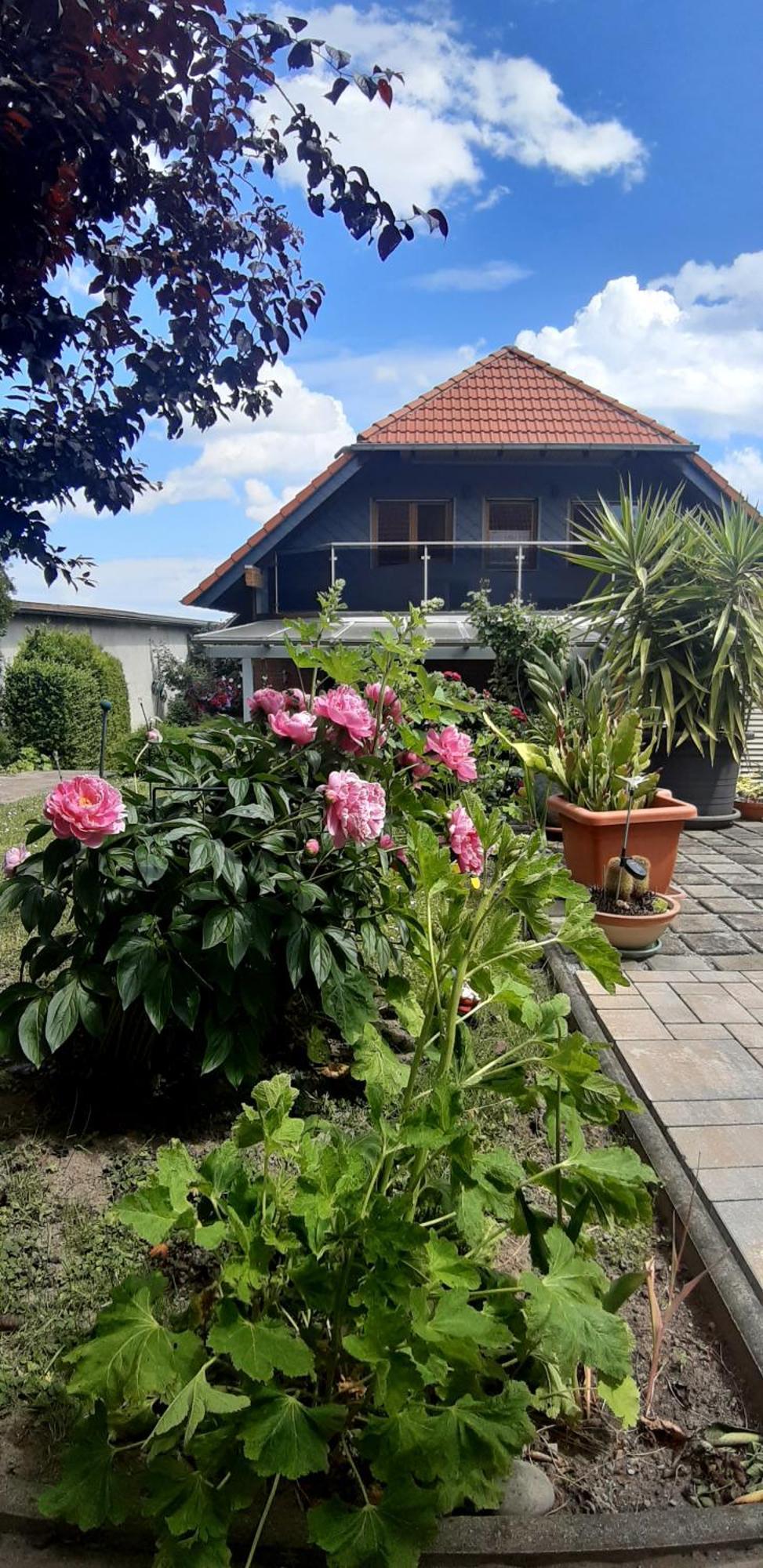 Ferienwohnung Relax Ilsenburg  Exterior foto