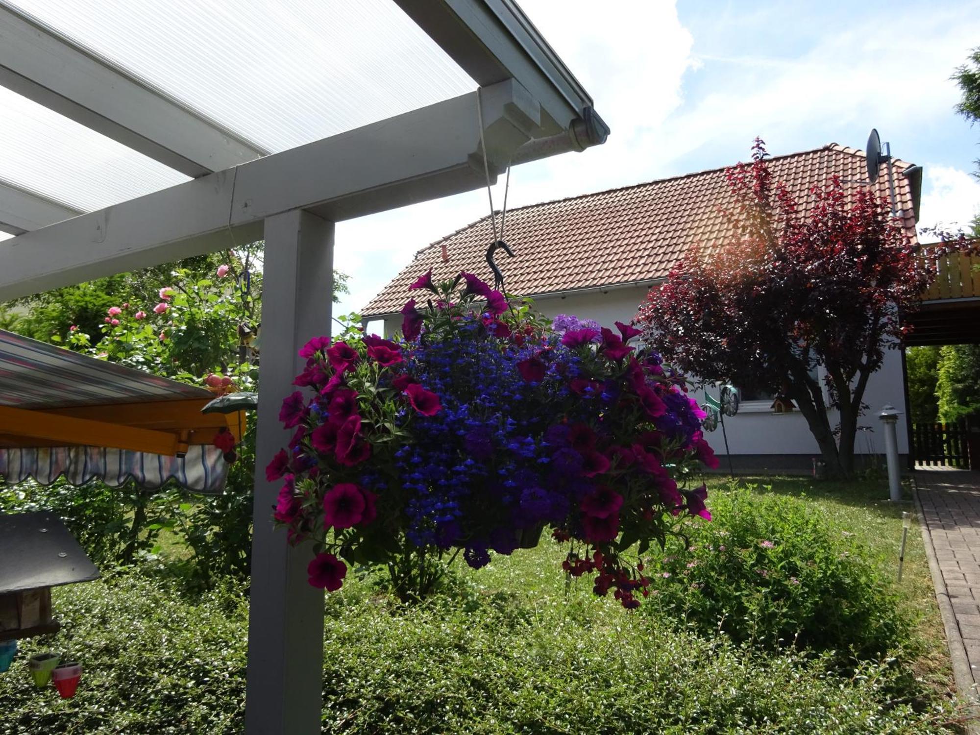 Ferienwohnung Relax Ilsenburg  Exterior foto